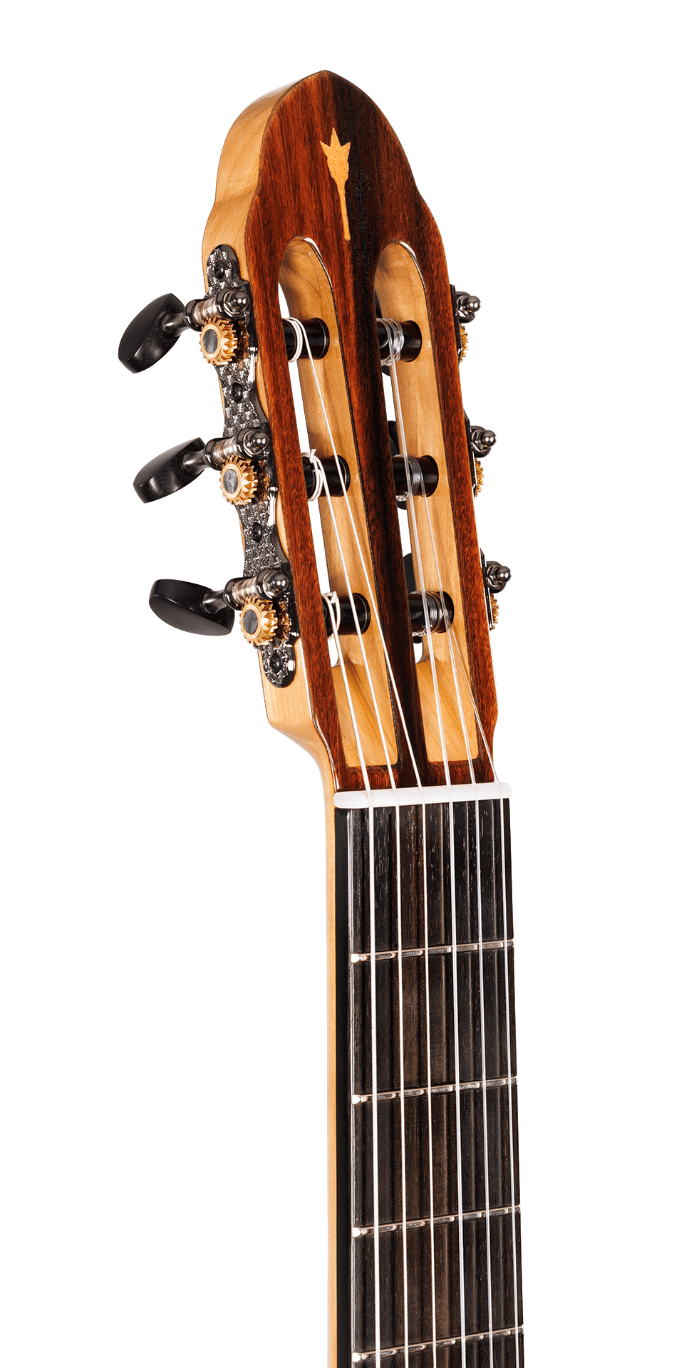 NOVA Classic Gallery — slotted headstock and NOVA inlay