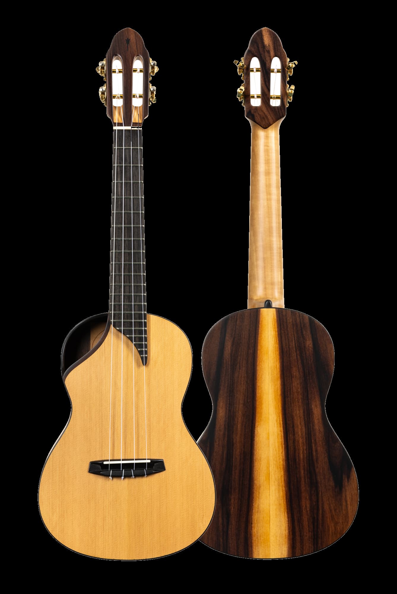 Wanderer guitar