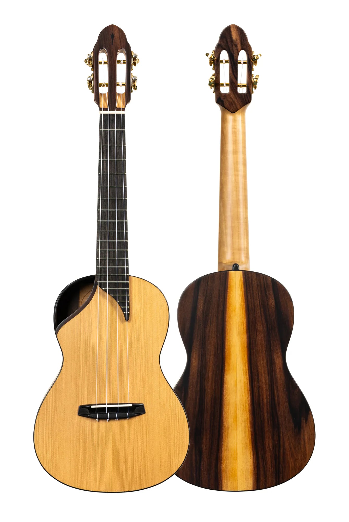 Wanderer guitar